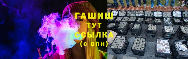 стаф Арсеньев